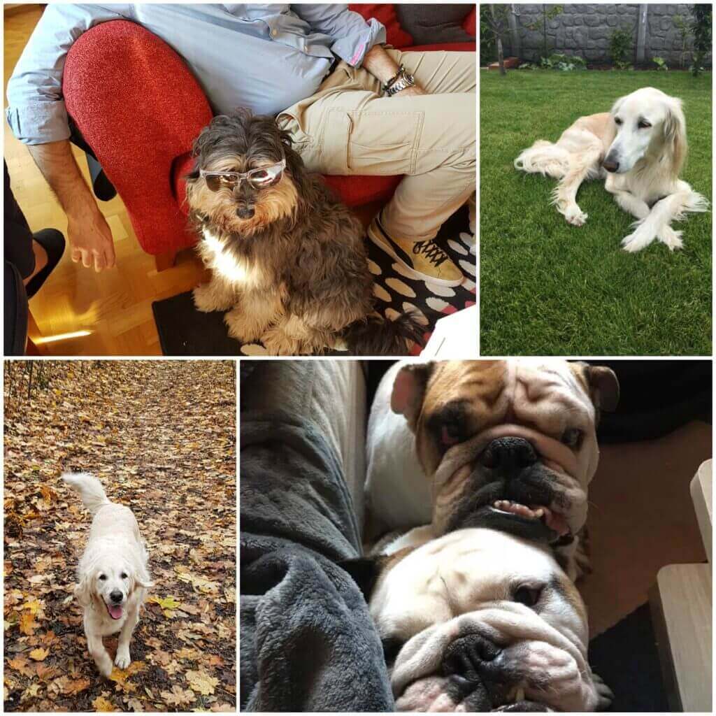 HAPPY NEW CHINESE YEAR!